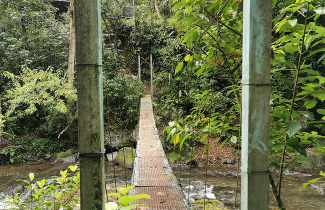 Trek de 4 jours au parc national Los Quetzales - Photo 2