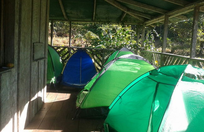 Trek de 4 jours au parc national Los Quetzales - Photo 8