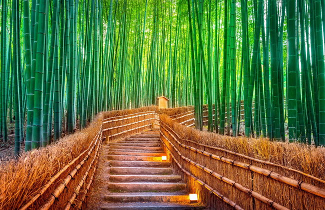 Escursione ad Arashiyama, Kinkakuji e Nara - Foto 5