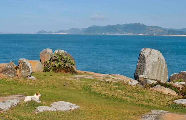 Escursione a Guarda do Embaú - Foto 7