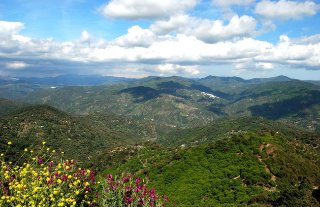 Sierra Bermeja Bike Tour - Photo 7