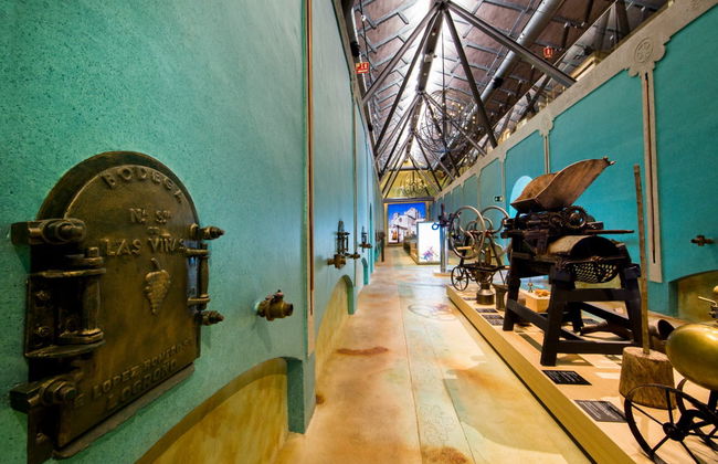 Pagos del Rey Wine Museum - Photo 1