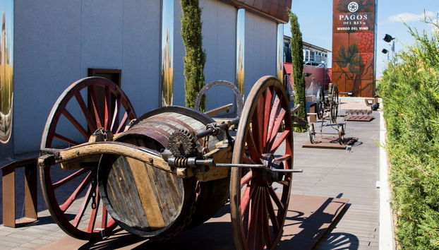 Pagos del Rey Wine Museum - Photo 4