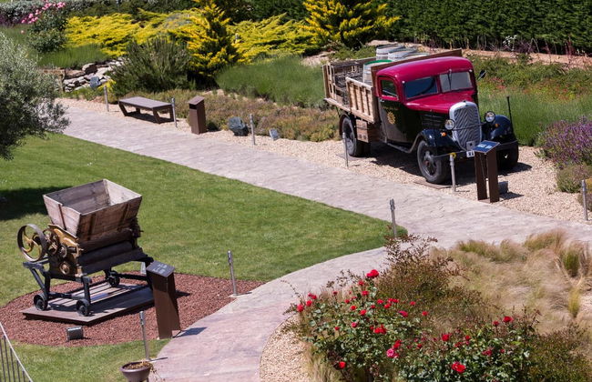 Pagos del Rey Wine Museum - Photo 2