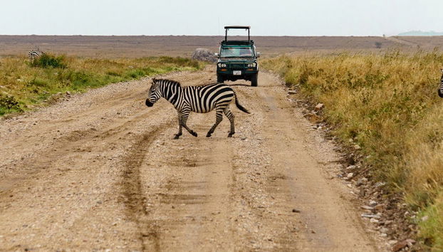 North Tanzania 8 Day Safari - Photo 5