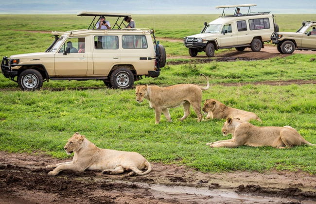 North Tanzania 8 Day Safari - Photo 1