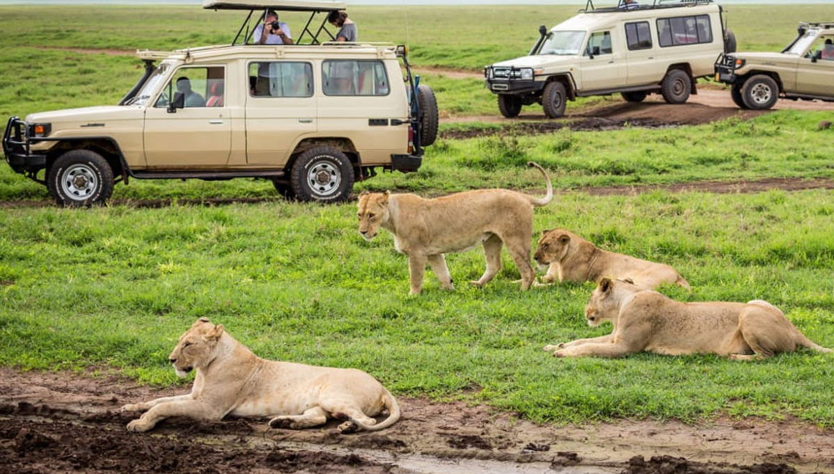 North Tanzania 8 Day Safari - Photo 1