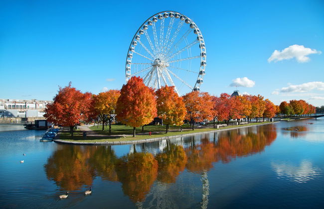 Ingresso da La Grande Roue de Montreal - Foto 1