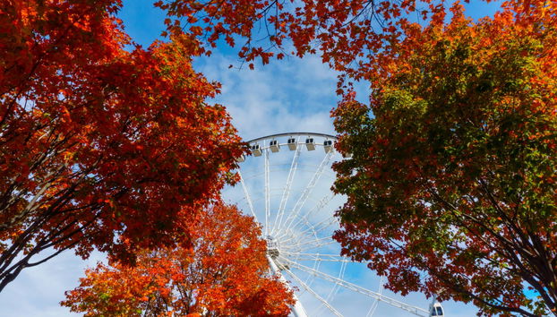 Ingresso da La Grande Roue de Montreal - Foto 4