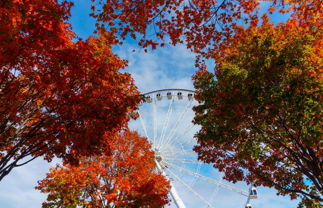 Ingresso da La Grande Roue de Montreal - Foto 4