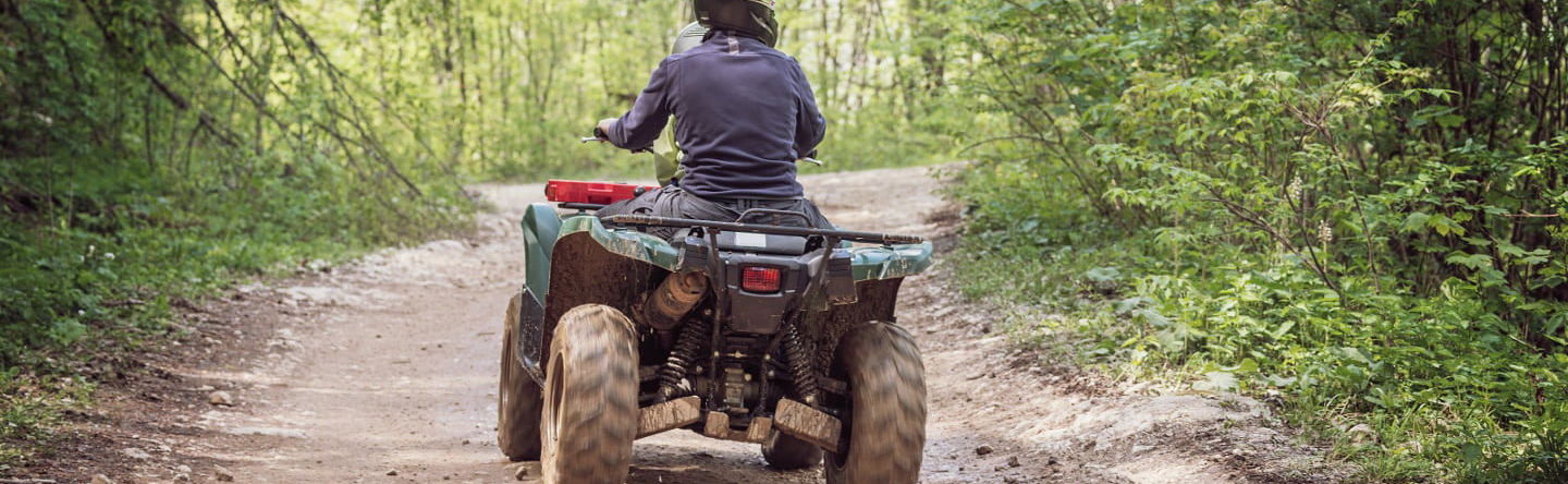 Tour en quad por la Reserva de Sapiranga - Foto 1