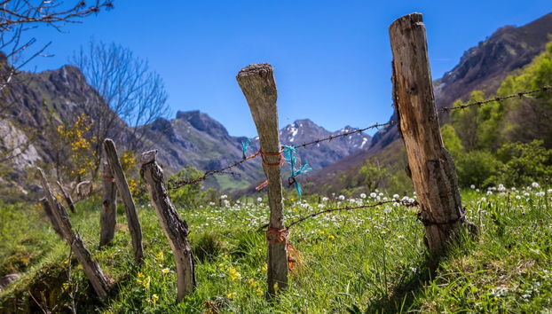 Somiedo Natural Park Tour - Foto 4