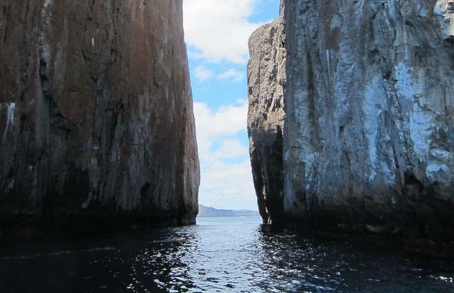 Sleeping Lion Rock Day Trip - Photo 4
