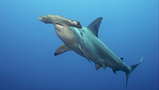 Excursion au León Dormido - Photo 5