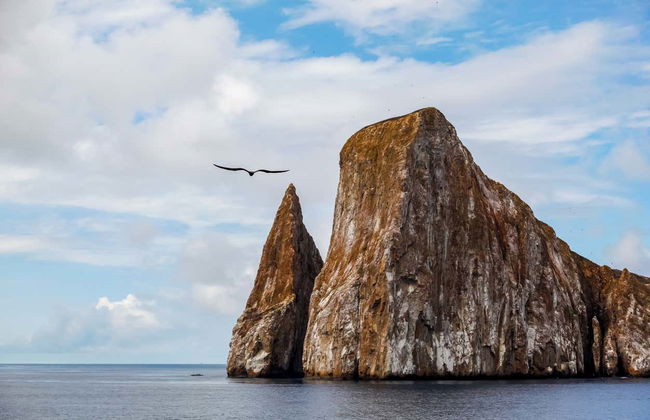 Sleeping Lion Rock Day Trip - Photo 6