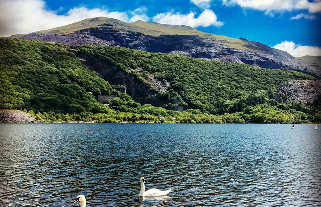 Excursión a Caernarfon, Portmeiron y Parque Nacional Snowdonia - Foto 10