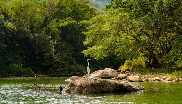 Escursione al Canyon del Sumidero - Foto 3