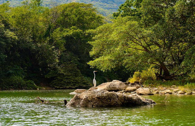 Sumidero Canyon + Chiapa de Corzo Tour - Foto 3