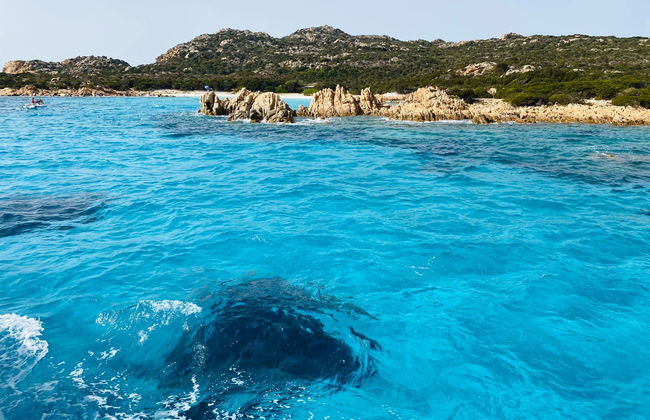 Croisière sur îles de la Maddalena - Photo 3