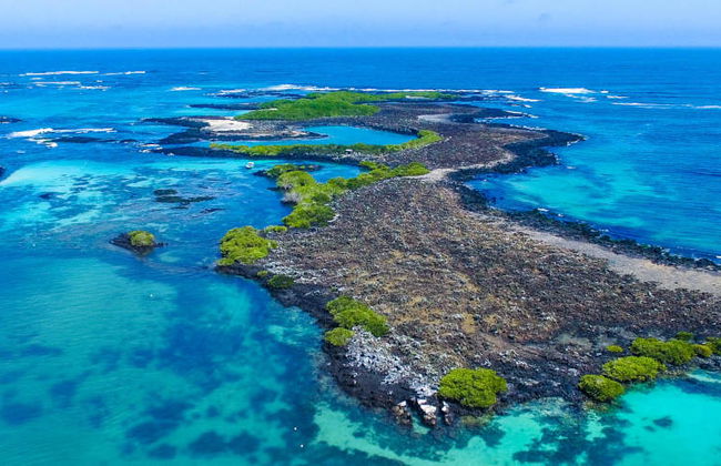 North Galapagos Islands 8 Day Cruise - Foto 8