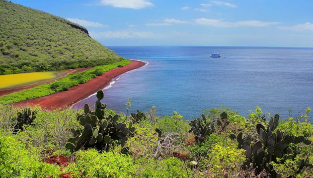 Crociera di 8 giorni al nord delle Galapagos - Foto 3