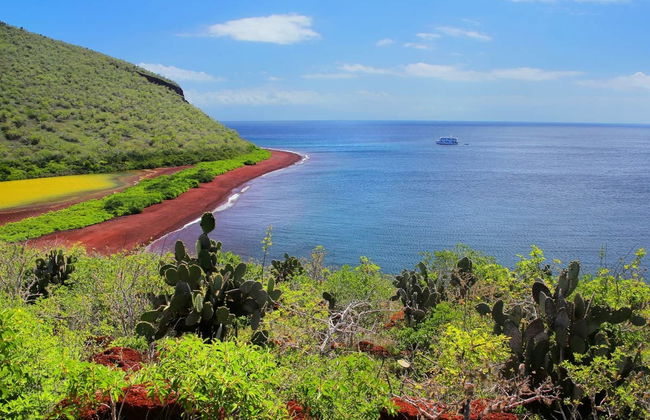 Crociera di 8 giorni al nord delle Galapagos - Foto 3