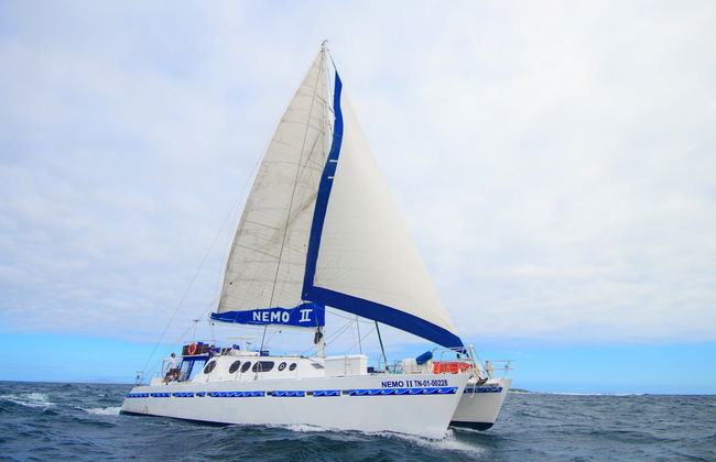 North Galapagos Islands 8 Day Cruise - Foto 3