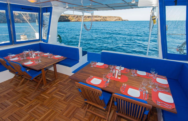 North Galapagos Islands 8 Day Cruise - Foto 6