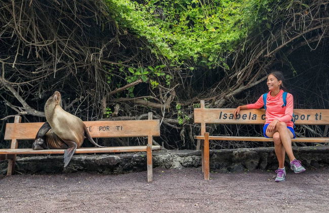 Crociera di 8 giorni al nord delle Galapagos - Foto 1
