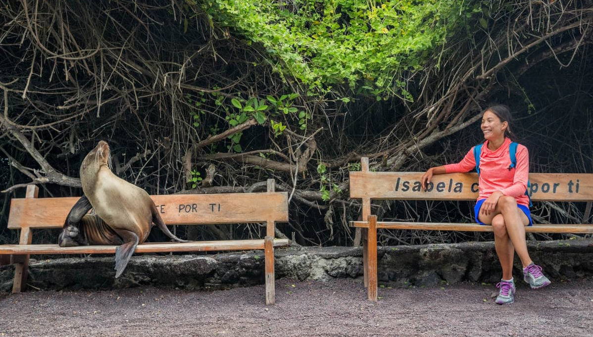 Crociera di 8 giorni al nord delle Galapagos - Foto 1