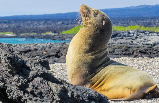 Crociera di 8 giorni al nord delle Galapagos - Foto 2