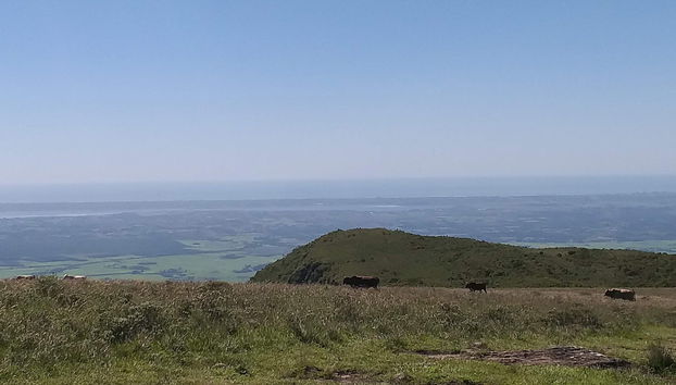 Day Trip to Fortaleza & Itaimbezinho Canyons - Foto 2