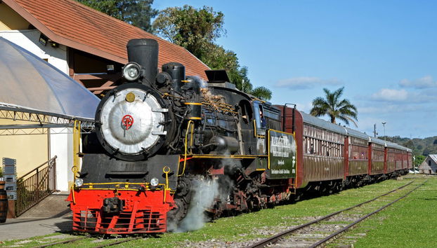 Tren Maria Fumaça + Visita a una bodega de Bento Gonçalves - Foto 4