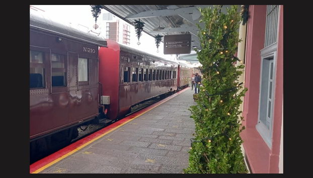 Tren Maria Fumaça + Visita a una bodega de Bento Gonçalves - Foto 2