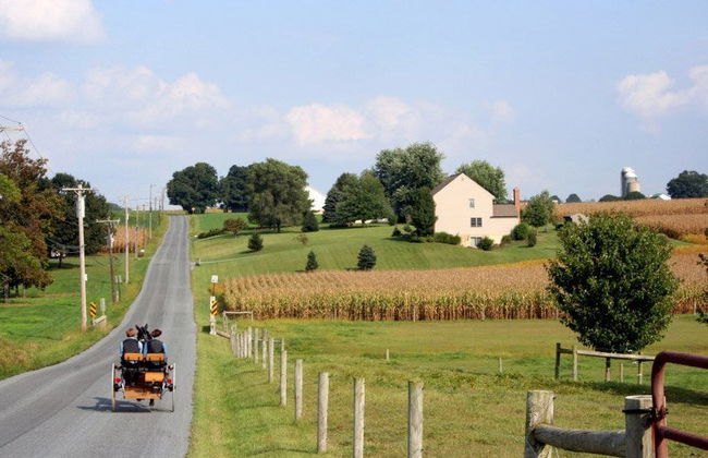 Philadelphia and Amish Country Day Trip - Photo 3