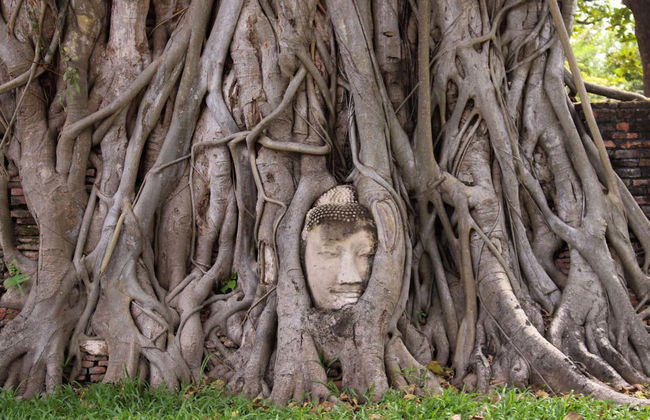 Excursion au marché ferroviaire, au marché flottant et aux vestiges d'Ayutthaya - Photo 6