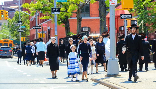 Contrastes de Nueva York VIP - Foto 3