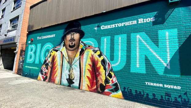 Tour di Harlem e del Bronx + Biglietti per i New York Yankees - Foto 2