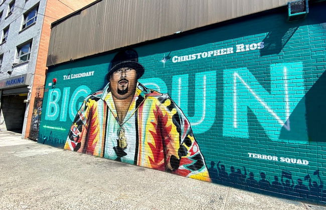 Visita guiada por el Bronx - Foto 1