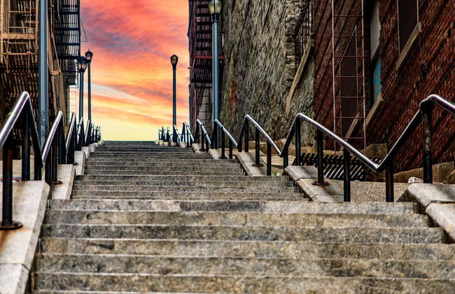 Visita guiada por el Bronx - Photo 6