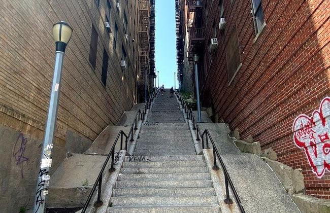 Visita guiada por el Bronx - Photo 3