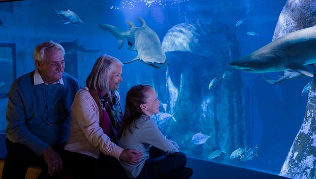 Biglietti per il Sea Life London - Foto 3