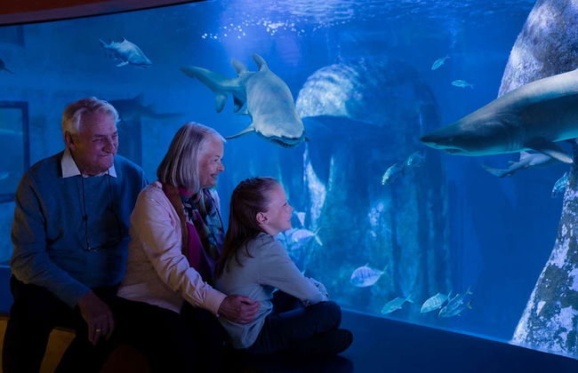 Biglietti per il Sea Life London - Foto 3