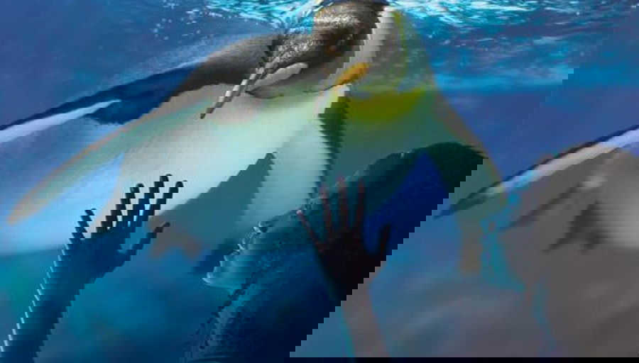 Entrada al Sea Life London - Foto 1