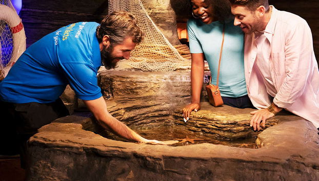 Entrada al Sea Life London - Foto 2