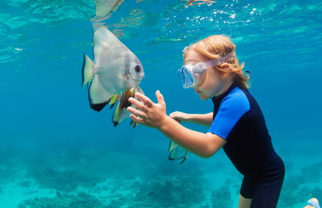 Snorkeling à Nusa Penida et Nusa Lembongan - Photo 2