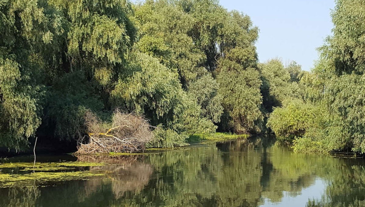 Mar Nero e Delta del Danubio in due giorni - Foto 1