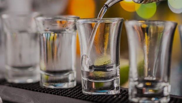 Tour del vodka por Cracovia - Foto 5