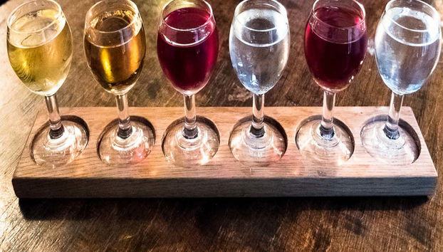 Tour del vodka por Cracovia - Foto 3