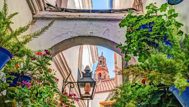 Excursão a Córdoba - Foto 4